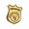 Premium Evangel Security Officer Gold Metal Badge - custom church security badge